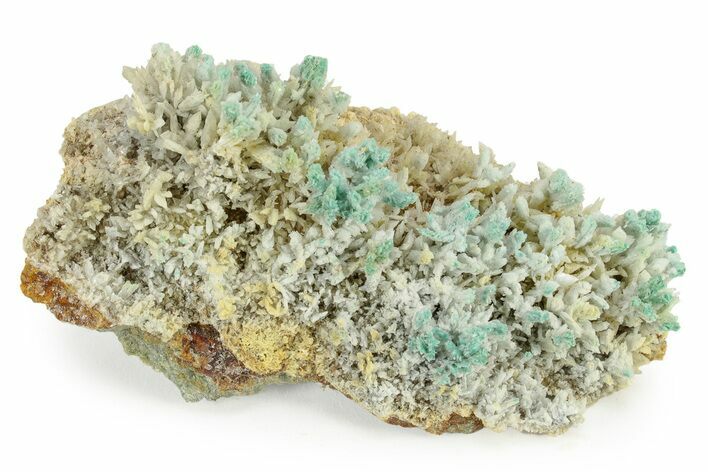White and Teal Aragonite Formation - Pilhuatepec, Mexico #242667